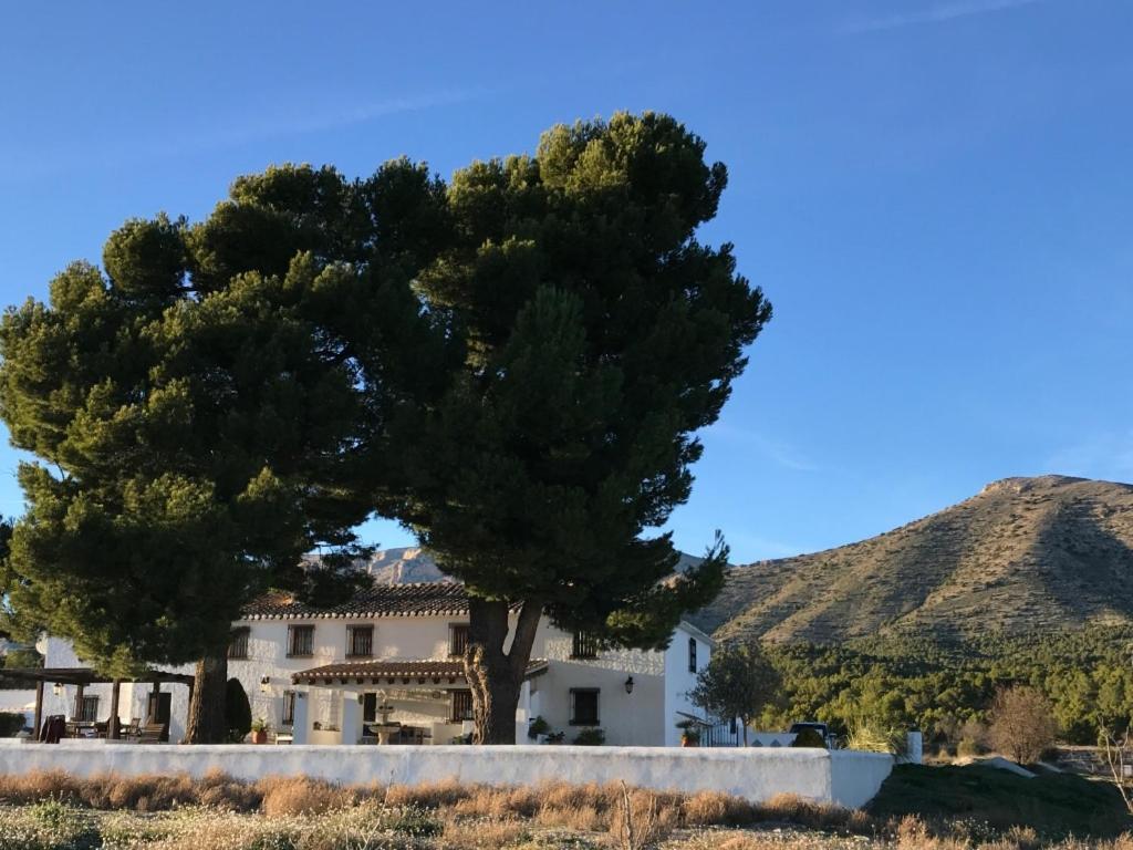 B&B Cortijo El Ciruelo Chirivel Exterior foto